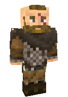 Скин по нику Vikinghawk