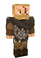 Скин по нику Vikinq