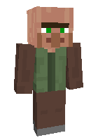 Скин по нику VillagerD