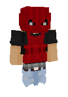 Скин по нику VizTheBuilder