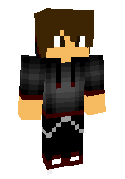 Скин по нику Vizualgaming