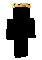 Скин по нику Vsgamer22