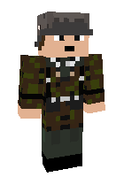 Скин по нику WaffenSS