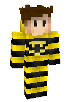 Скин по нику Wasp_