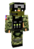 Скин по нику WaterCat789
