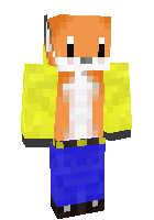Скин по нику WhoDoctor