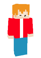 Скин по нику WilloW_D