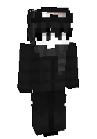 Скин по нику Wollenix