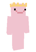 Скин по нику Woowe