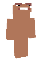 Скин по нику XeNoN_