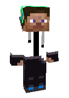 Скин по нику Xterrynn