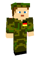 Скин по нику ZEBRON