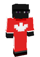 Скин по нику ZIBLACK1NGGG