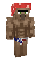 Скин по нику ZORDIK