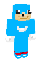 Скин по нику ZORTY