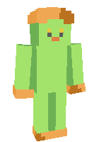 Скин по нику ZZZony
