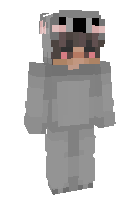 Скин по нику ZZushy_YT