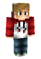 Скин по нику ZebraPlaysMC