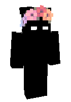 Скин по нику ZerphyArtWorks