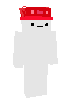 Скин по нику ZerryYT