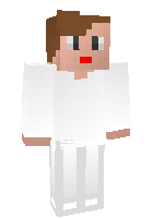 Скин по нику ZeusBlockTube