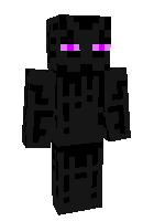 Скин по нику Ziblacinggg