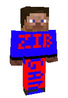 Скин по нику Zibraid