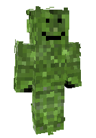 Скин по нику Zombie_king999