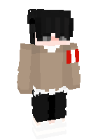Скин по нику ZtDany