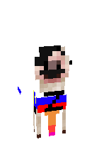 Скин по нику Zxcyjik