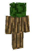 Скин по нику _Baba___Yaga_