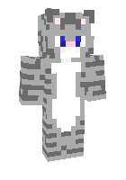 Скин по нику _Barsik_cat_YT