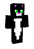 Скин по нику _Catswagg_