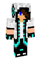 Скин по нику _EnderArcher_