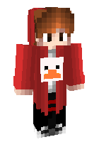 Скин по нику _FunnyPigeon_