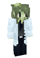 Скин по нику _Jalter__