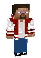 Скин по нику _MrFlyer_