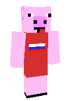 Скин по нику _NeyZiKarnett_
