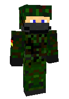 Скин по нику _Ping_