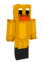 Скин по нику _Puddle_Duck_