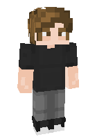 Скин по нику _Sanka_