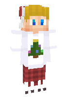 Скин по нику __Romikon__