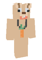 Скин по нику _cook_