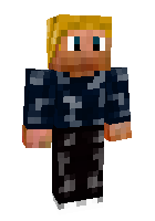 Скин по нику _diamonddragon_