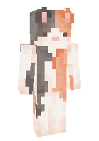 Скин по нику _kitty_cat_
