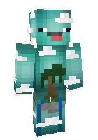 Скин по нику _skywars_