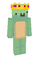 Скин по нику _turtle