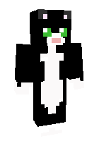 Скин по нику _warriorcat_