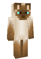 Скин по нику abbiethecat