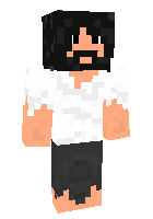 Скин по нику acecave